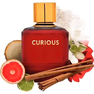 Curious 100ml EDP