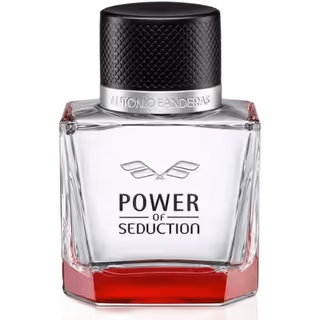 Power of Seduction 100ml EDT