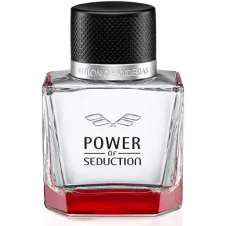 Power of Seduction 100ml EDT