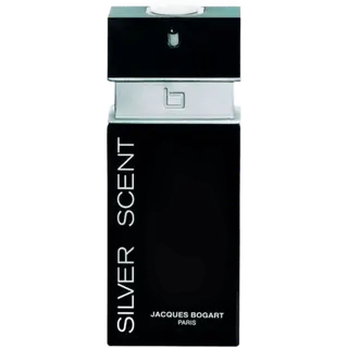 Silver Scent 100ml EDT