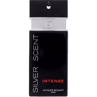 Silver Scent Intense 200ml EDT