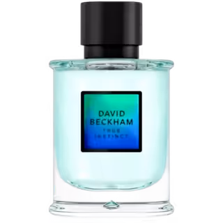 David Beckham True Instinct Eau de Parfum 75 ml