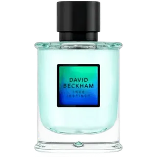 David Beckham True Instinct Eau de Parfum 75 ml