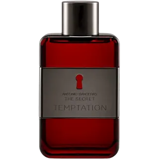 Antonio Banderas The Secret Temptation Eau de Toilette 100 ml
