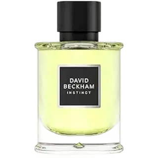 David Beckham Instinct Eau de Parfum 75 ml