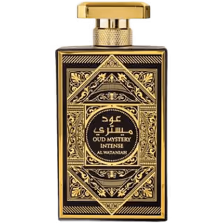 Oud Mystery Intense 100ml EDP